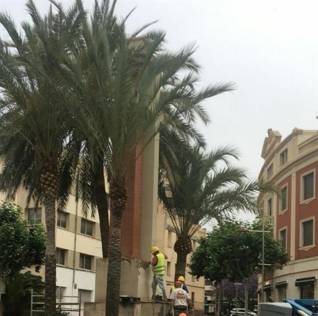 RETIRAN LA CRUZ DE LOS CAÍDOS | ASOCIACIÓN ESPAÑOLA DE ABOGADOS CRISTIANOS ep retirancruzlos caidos