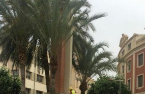 ep retirancruzlos caidos