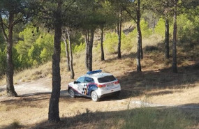 ep una patrullala policia localgetafe acudelugarquehan hallado nueve ejemplaresmilano realgetafe