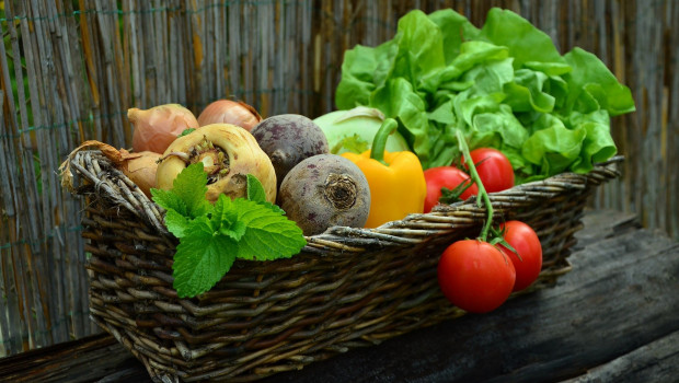 verduras dl alimentos producir