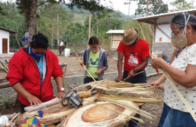 1601484466 proyecto bamb bambal ecuador 1601484466 proyecto bamb bambal ecuador