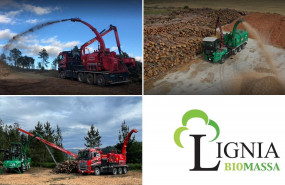 1647417614 cedeclignia biomassa