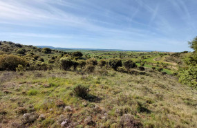 20220518 100910 20220518 100910