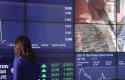brokerrmujer brokerrmujer