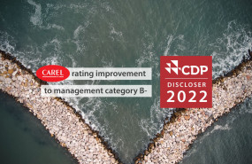 cdp rating 