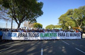 ep archivo   agricultores de huelva en la manifestacion celebrada en sevilla el 2 de febrero para