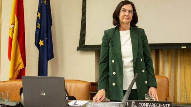 ep archivo   la candidata del gobierno para presidir la cnmc cani fernandez