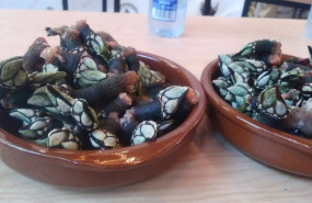 ep dos bandejas de percebes