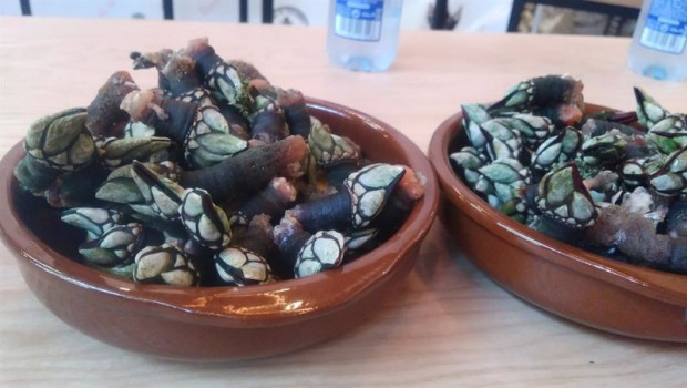 ep dos bandejas de percebes