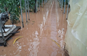 ep efectos de la borrasca leonardo en un invernadero de granada