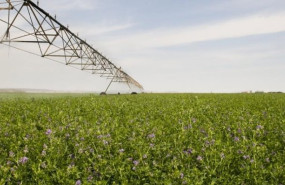 ep el departamento de agricultura refuerza su compromiso con el campo turolense