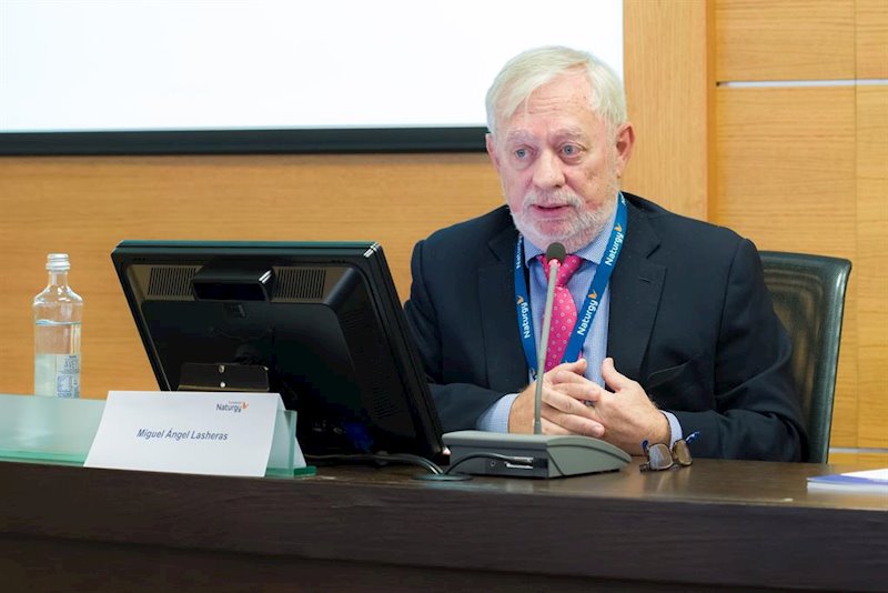 ep el economista y experto miguel angel lasheras en un acto de la fundacion naturgy