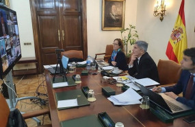 ep el ministro del interior fernando grande-marlaska en una reunion telematica desde su despacho