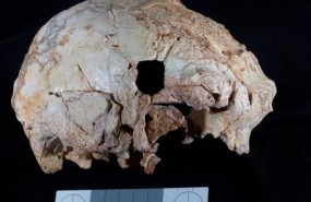 ep hallancraneo humano fosil400000 anosantiguedad mas antiguo enco
