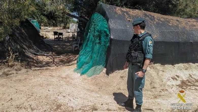 La Guardia Civil desarticula una organización que explotaba laboralmente a víctimas de Rumanía y Moldavia en las campañas de recolección de cultivos | EUROPA PRESS ep la guardia civil desarticula una organizacion que explotaba laboralmente a victimas de rumania y