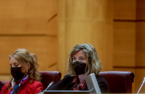 ep la presidenta de adif maria luisa dominguez comparece en la comision de presupuestos del senado a
