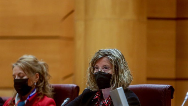 ep la presidenta de adif maria luisa dominguez comparece en la comision de presupuestos del senado a