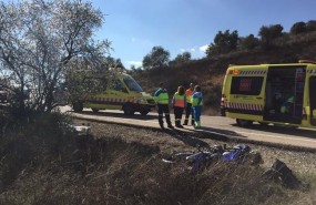 ep mueremotorista41 anoschocarun arbol