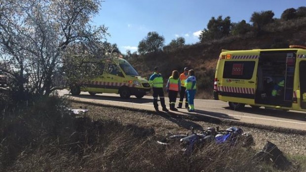 ep mueremotorista41 anoschocarun arbol
