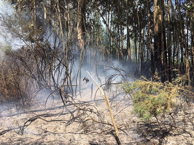 Ordes incendios forestales | GUARDIA CIVIL ep ordes incendios forestales