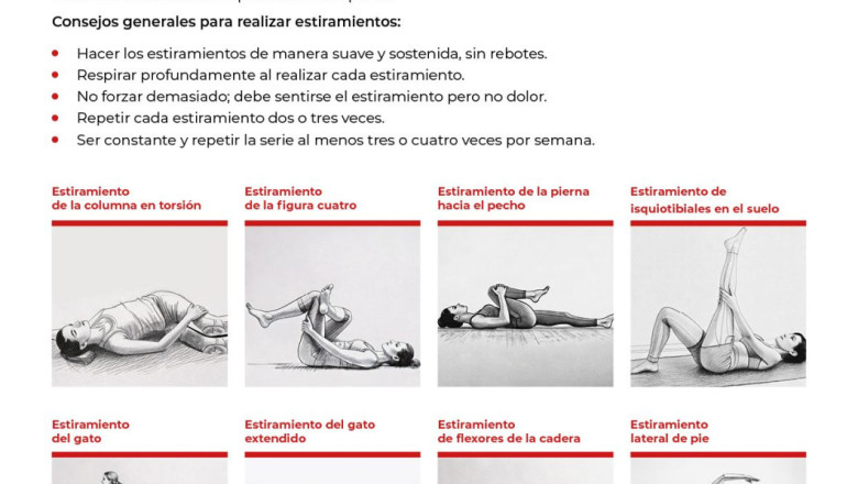 inf 2025 sin dolor espalda dic24 medgen 20241218160115 