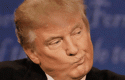 trumpmiedo2 trumpmiedo2