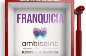 1590487412 ambiseint