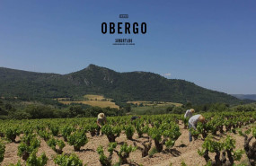 1655464187 vino tinto somontano 1655464187 vino tinto somontano