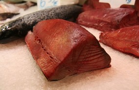 atun rojo