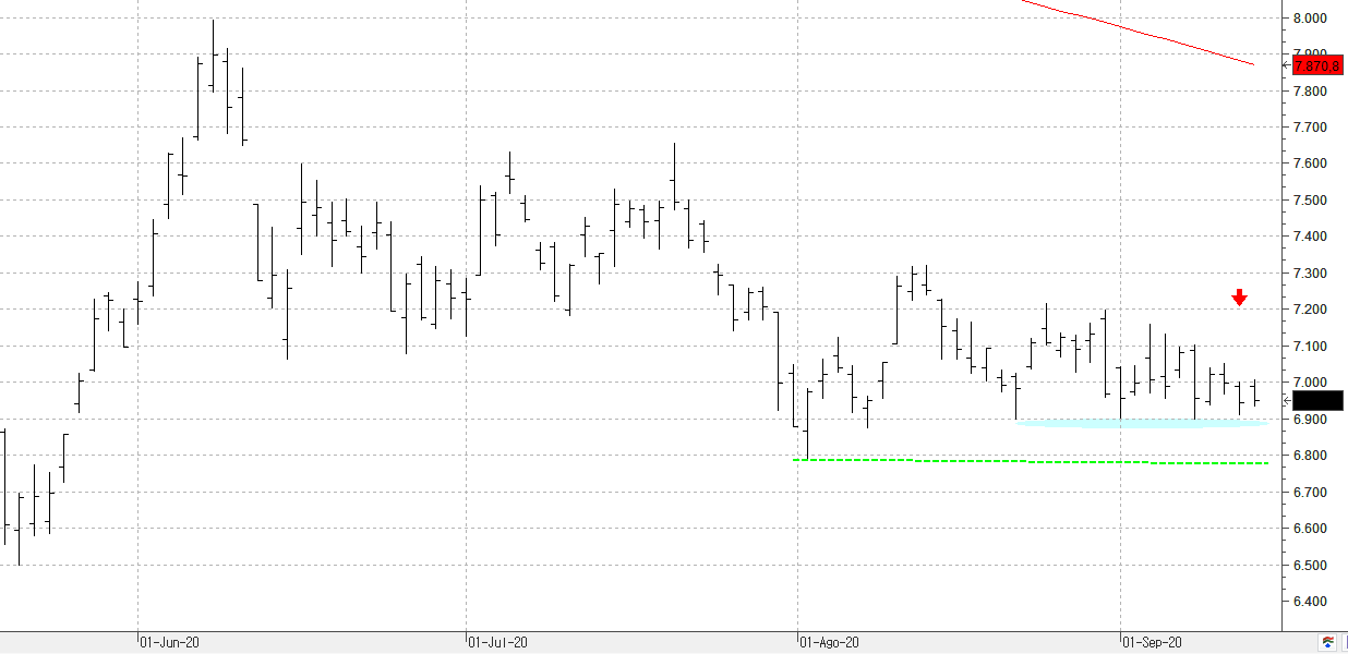 c140920ibex