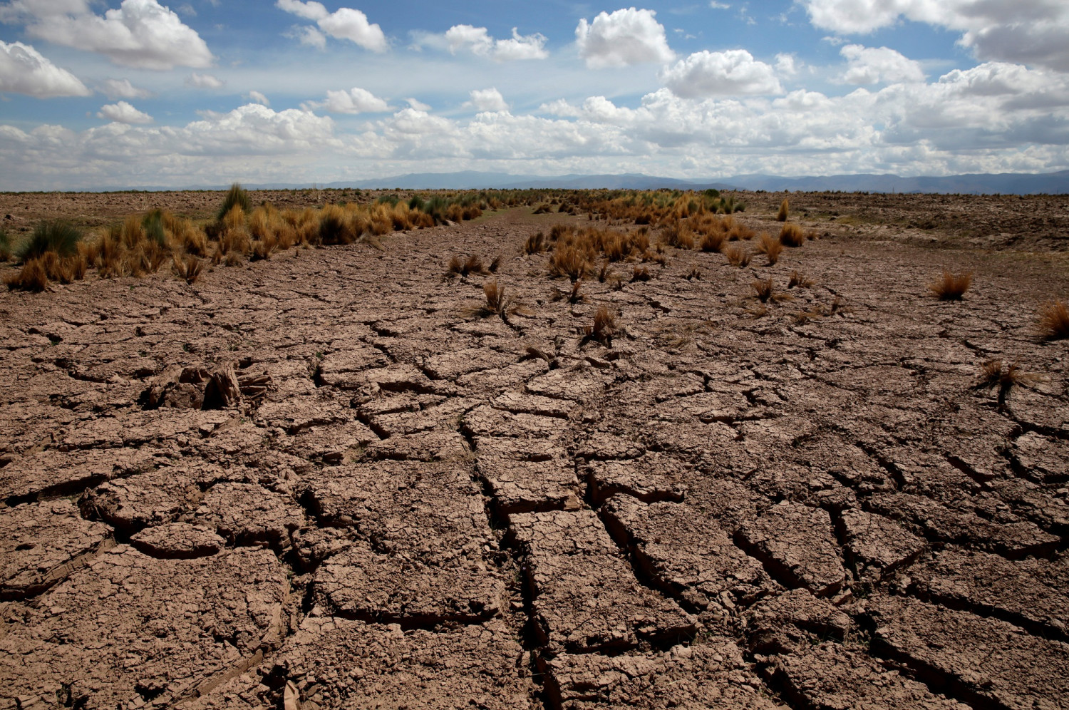 climat secheresse rechauffement climatique bolivie 20220916070703 