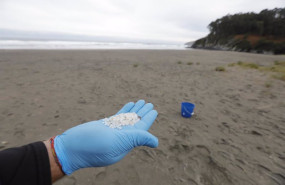 ep archivo   un operario coge con la mano pellets de plastico en la playa otur