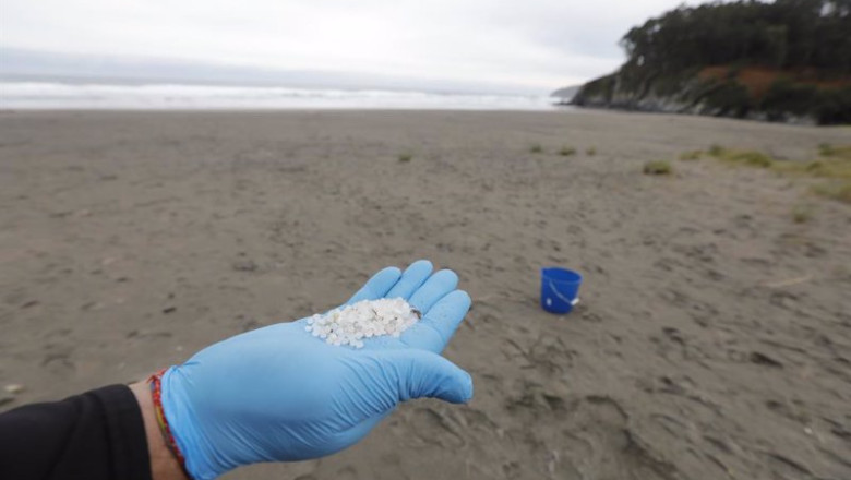 ep archivo   un operario coge con la mano pellets de plastico en la playa otur
