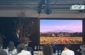 ep el presidente de la do cava javier pages