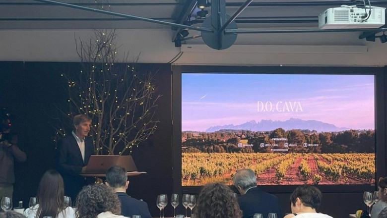 ep el presidente de la do cava javier pages