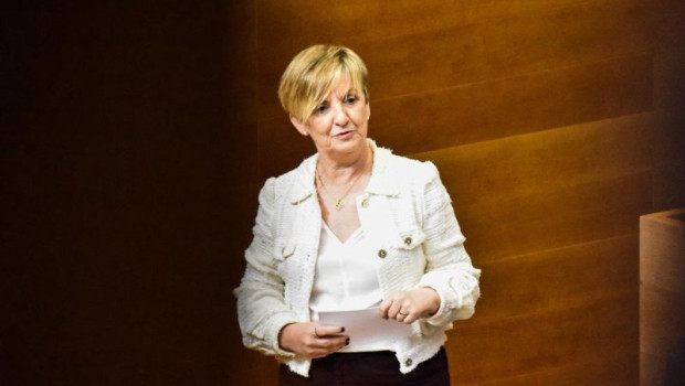 ep imagen de la consellera de industria turismo innovacion y comercio marian cano