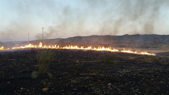 Incendio forestal en Antequera (Málaga) | EUROPA PRESS/INFOCA ep incendio forestalantequera malaga