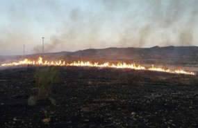 ep incendio forestalantequera malaga