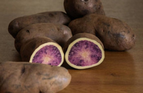 ep neiker registra atsegine una nueva variedad de patata de carne bicolor orientada a la industria