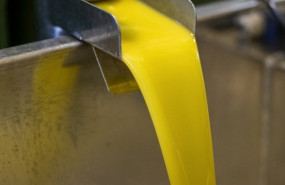 ep produccion de aceite de oliva 20260424141604