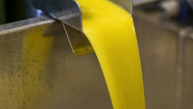 ep produccion de aceite de oliva 20260424141604