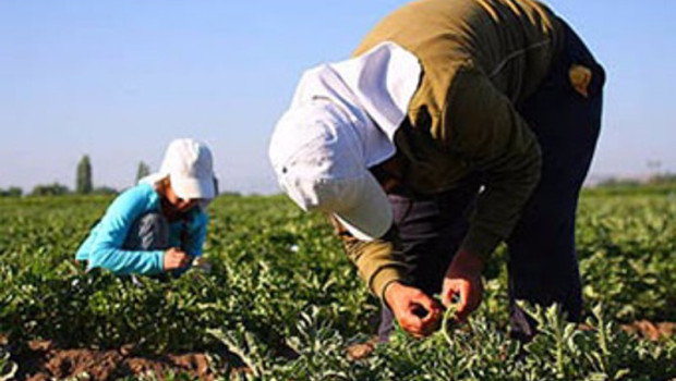 ep trabajadores agricolas