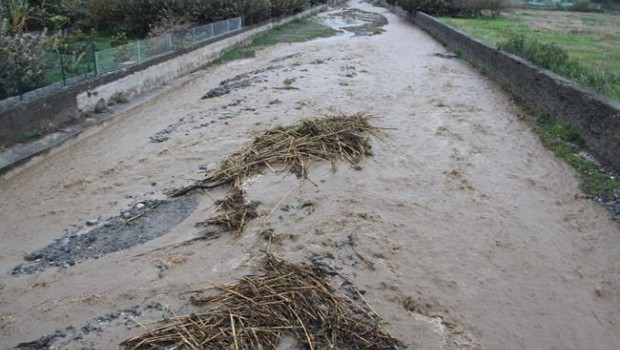ep unos 190 litrosla lluvia acumuladapasado juevesesta manana