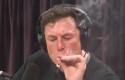 musk porro