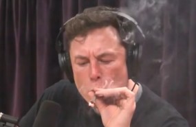 musk porro