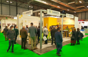 1637061714 solarays en genera21 