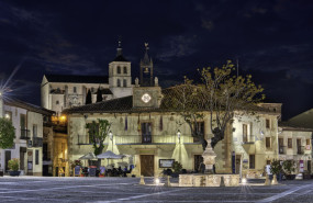 cogolludo palacio 30205052021 