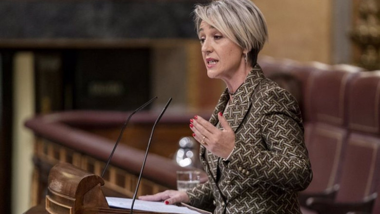 ep archivo   la diputada de vox ines maria canizares interviene en una sesion plenaria en el