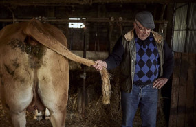 ep archivo   un veterinario rural trabaja a 8 de abril de 2023 en ourense galicia espana