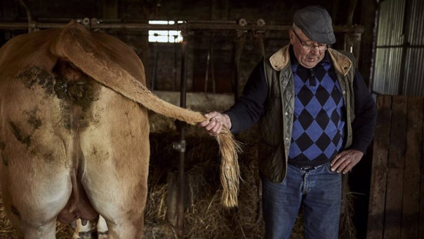 ep archivo un veterinario rural trabaja a 8 de abril de 2023 en ourense galicia espana ep archivo un veterinario rural trabaja a 8 de abril de 2023 en ourense galicia espana